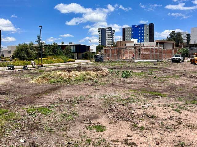 #96 - Área para Venta en Irapuato - GT - 3