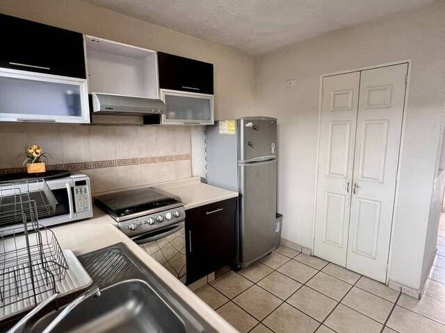 #119 - Casa para Renta en Irapuato - GT